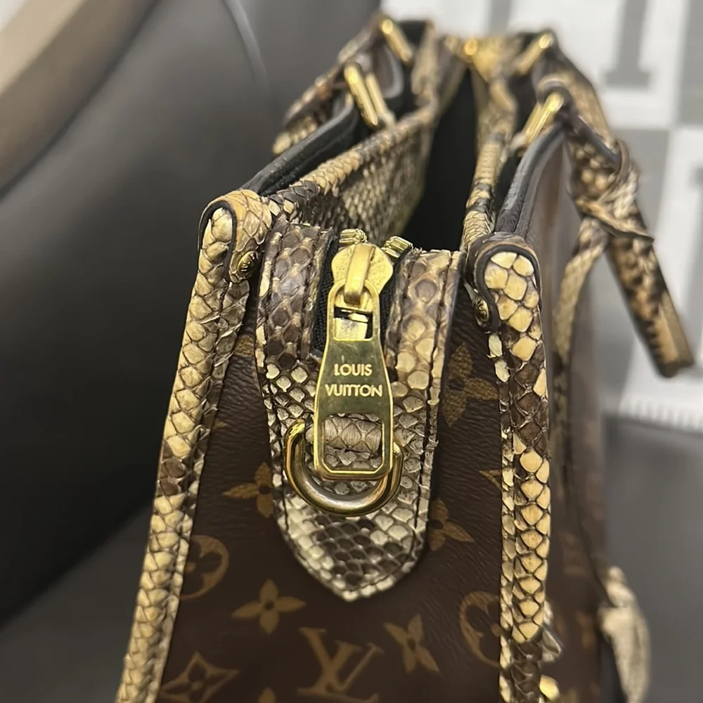 Rare Louis Python Bag - Picture 5 of 12